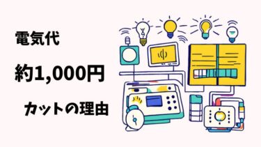 節電に効果あり！冷気＆日差しを遮るカーテンで約1,000円カット