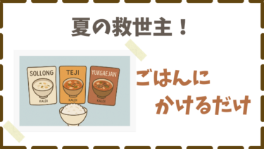 食欲のない夏に！KALDIのクッパ３種食べ比べ